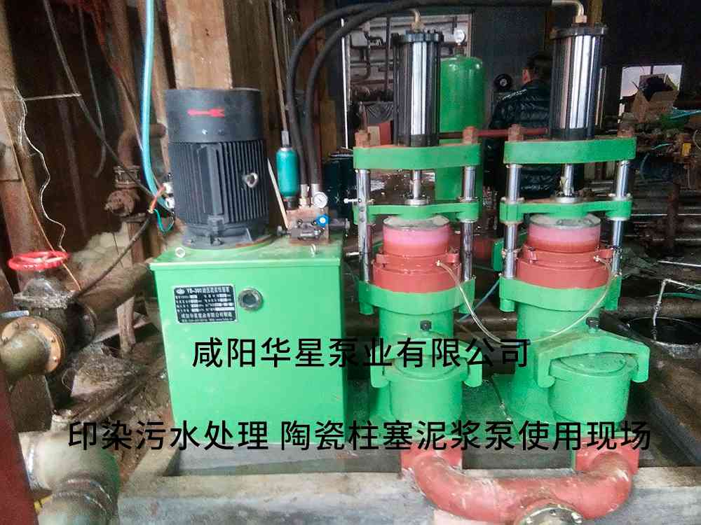 印染污水處理廠使用YBH300-40節能柱塞泥漿泵客戶案例